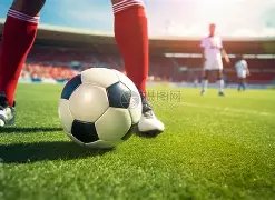 名人涉嫌足,球诈骗被捕,佐治亚钢铁,双赢彩票,彩票平台,彩票投注,在线购彩,双重保障